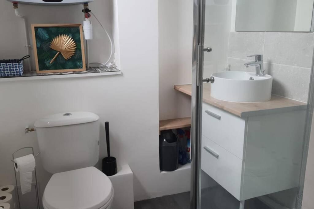 Appartement Lumineux Au Centre De Dieppe, Calme Et Confortable Eksteriør billede